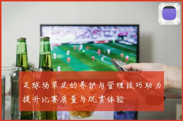 足球场草皮的养护与管理技巧助力提升比赛质量与观赏体验