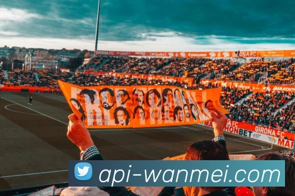 完美体育官方网站发展历程